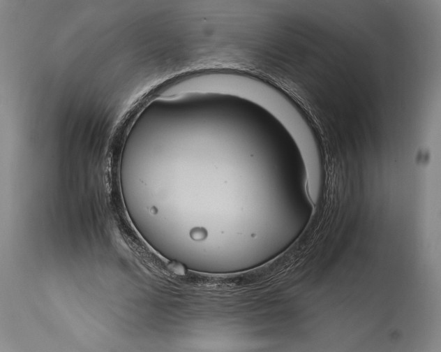 X0000114700680200911121541