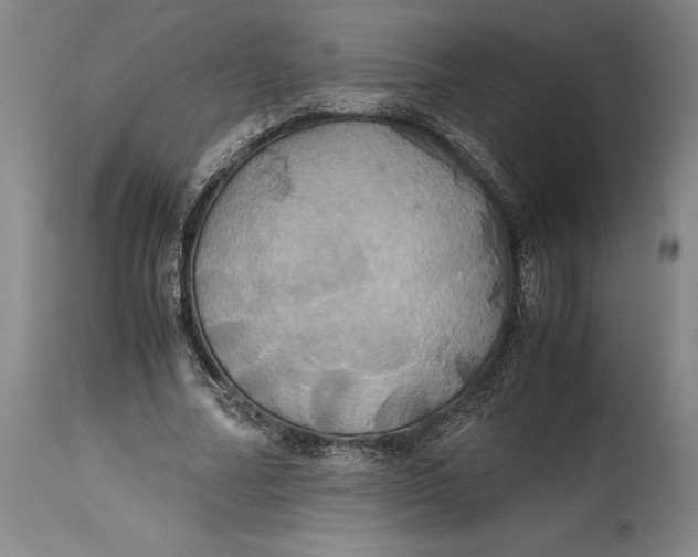 X0000114700682200911121541