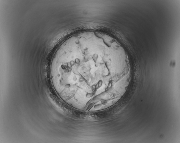 X0000114700683200911121541