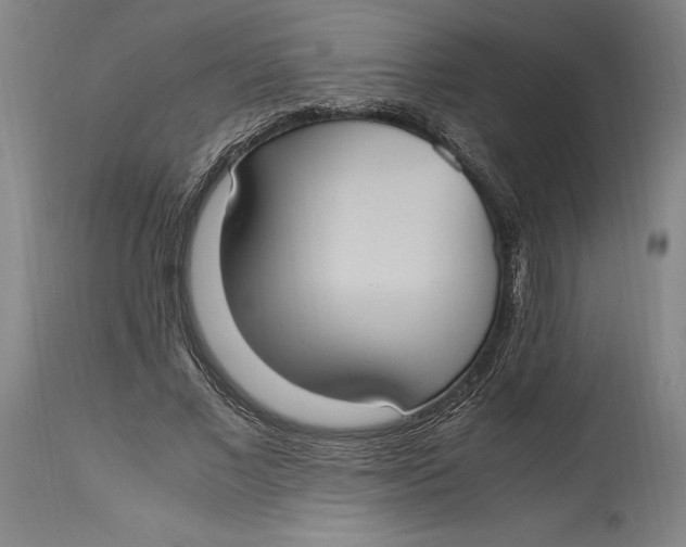 X0000114700685200911121540