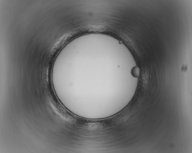 X0000114700686200911121540