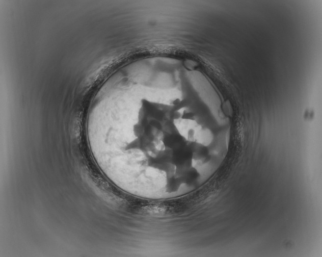 X0000114700687200911121540