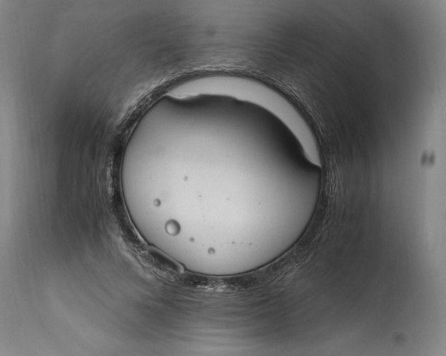 X0000114700688200911121540