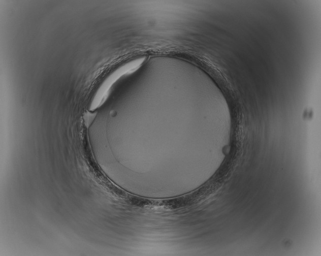 X0000114700689200911121540