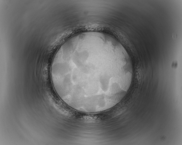 X0000114700690200911121540