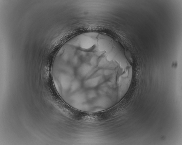 X0000114700691200911121540