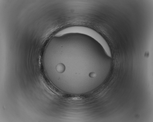 X0000114700692200911121540