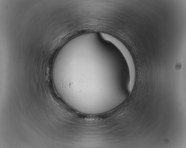 X0000114700693200911121540