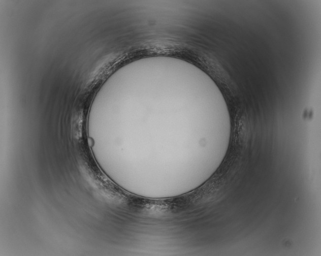 X0000114700694200911121540