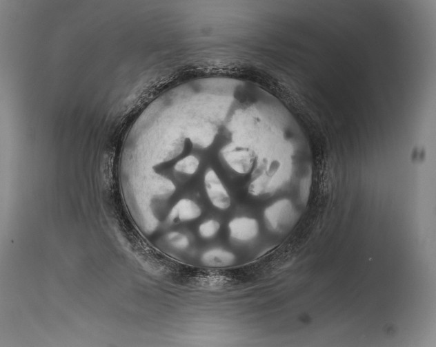 X0000114700695200911121540