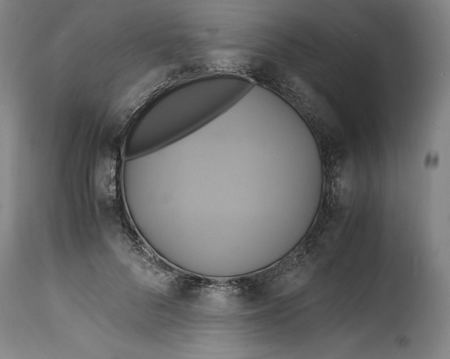 X0000114700696200911121540