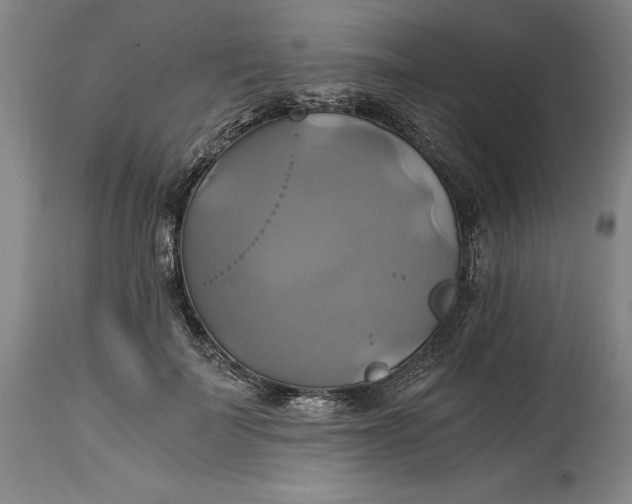 X0000114700699200911121540