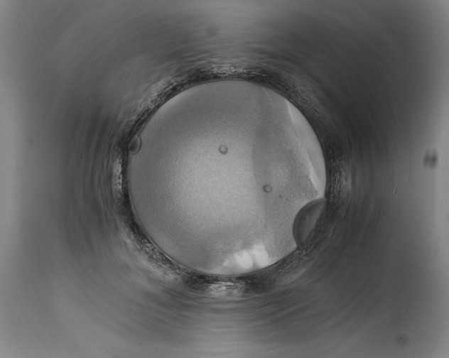 X0000114700700200911121540