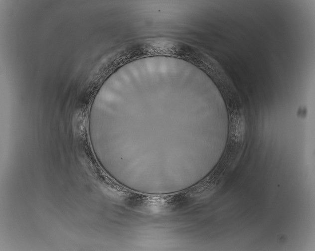 X0000114700701200911121540