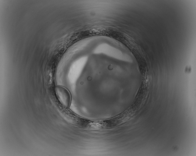 X0000114700703200911121540