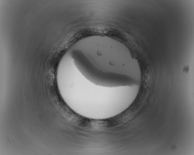 X0000114700707200911121540