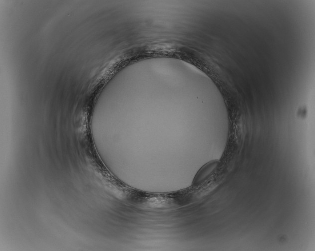 X0000114700708200911121540