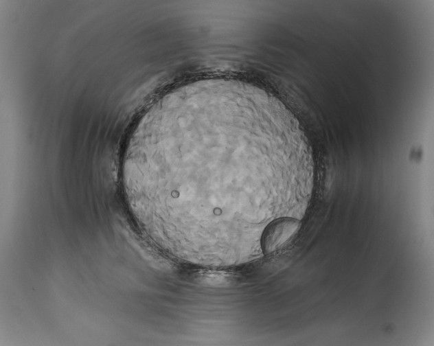 X0000114700710200911121540