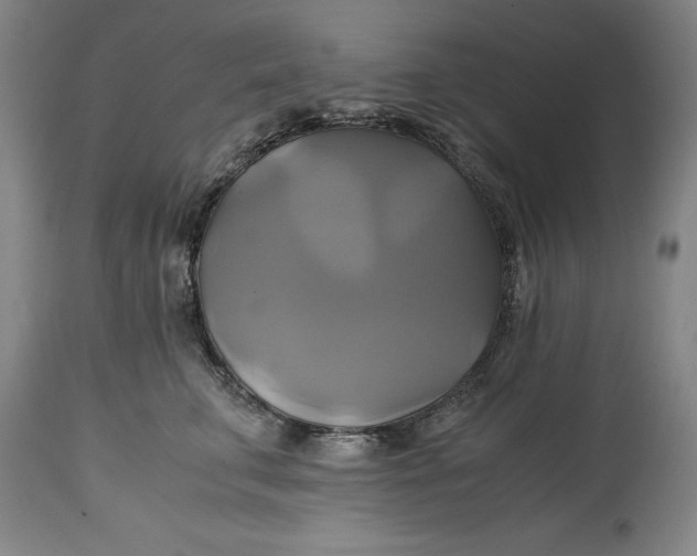 X0000114700711200911121540