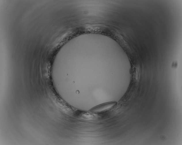 X0000114700712200911121540