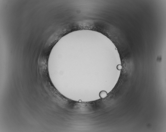 X0000114700713200911121540