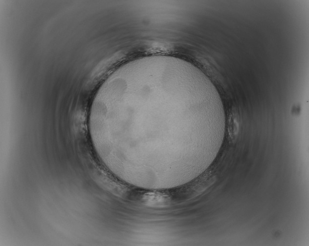 X0000114700714200911121540