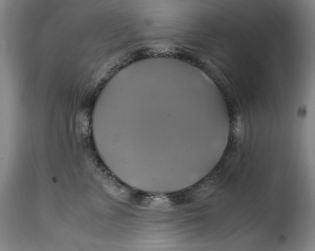 X0000114700715200911121540