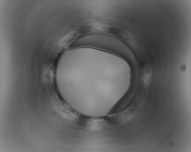 X0000114700716200911121540