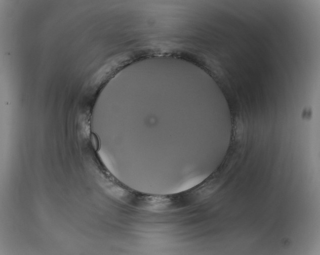 X0000114700719200911121540