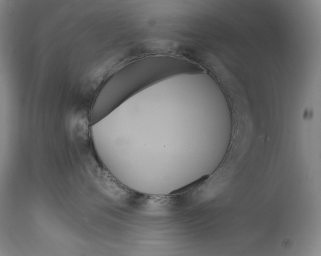 X0000114700720200911121540