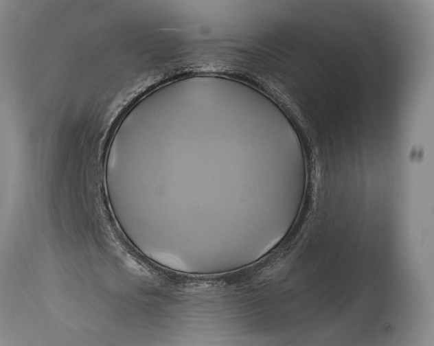 X0000114700721200911121539