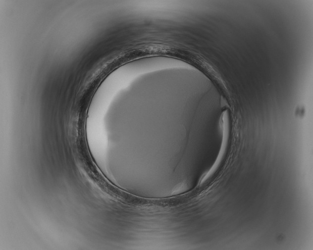 X0000114700722200911121539