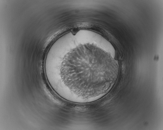 X0000114700725200911121539