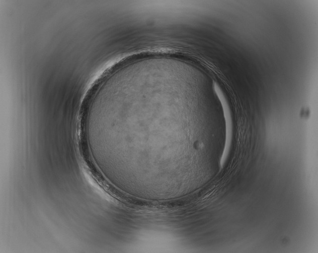 X0000114700726200911121539