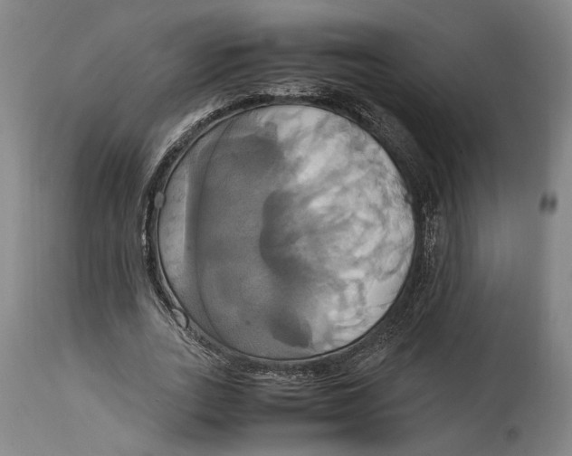 X0000114700727200911121539