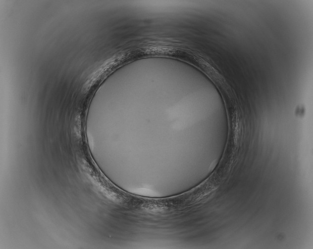 X0000114700729200911121539