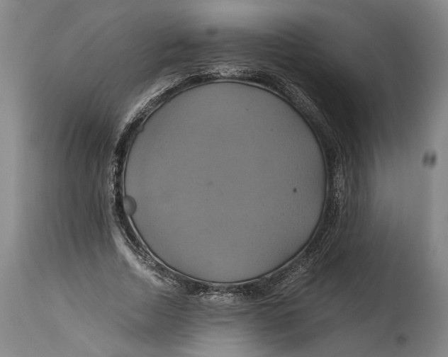 X0000114700730200911121539