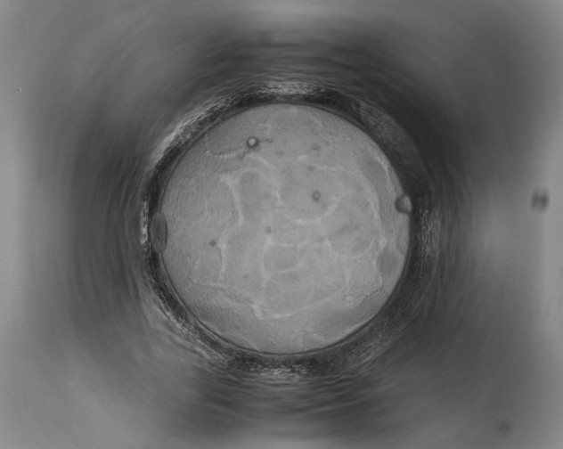 X0000114700731200911121539