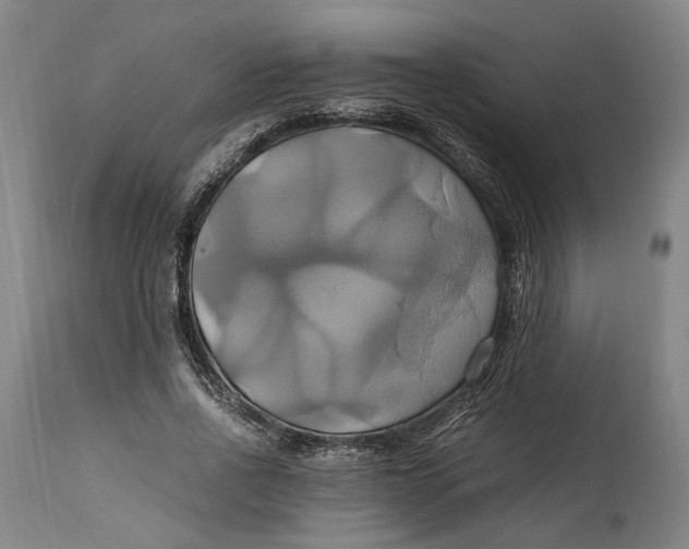 X0000114700734200911121540