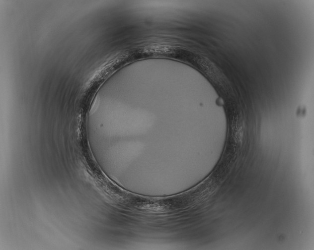 X0000114700735200911121540