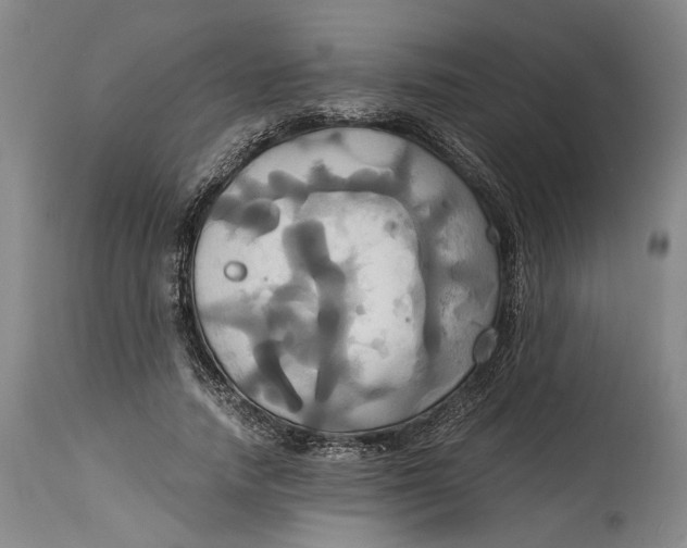 X0000114700738200911121540