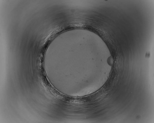 X0000114700739200911121540