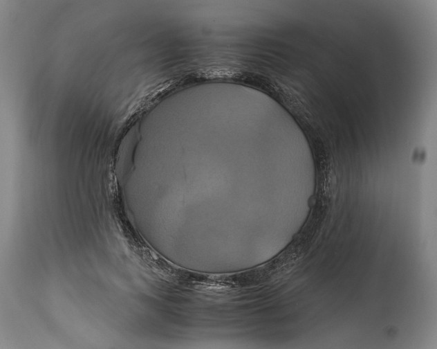 X0000114700743200911121540