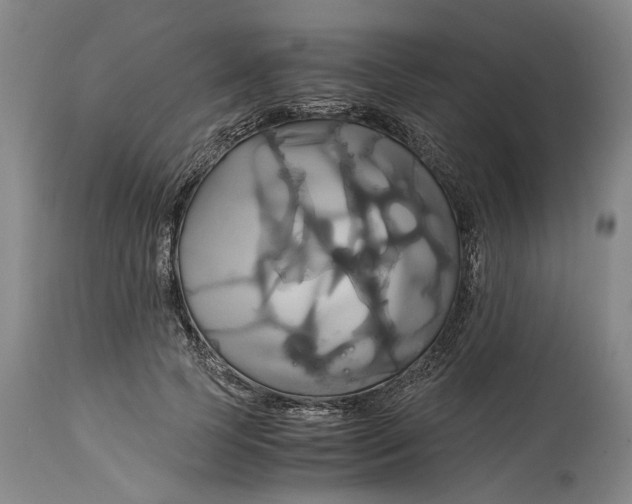 X0000114700745200911121540