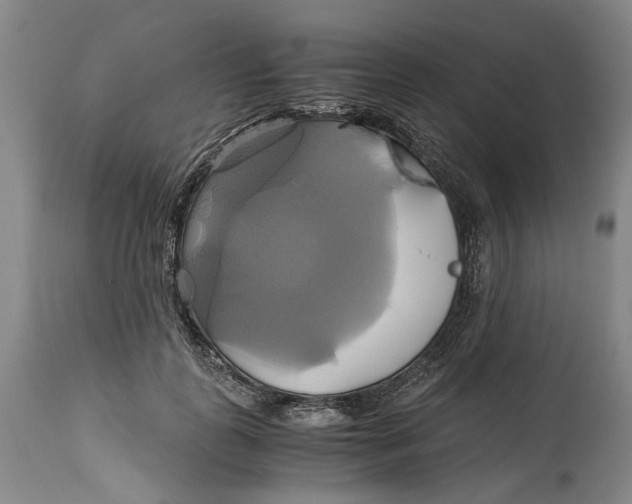 X0000114700747200911121540