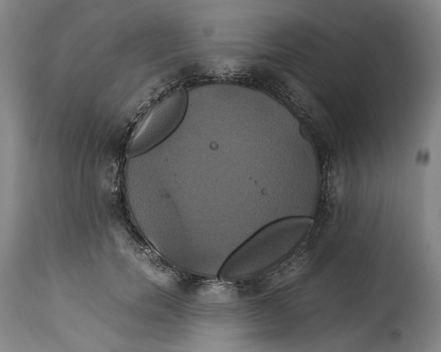 X0000114700750200911121540