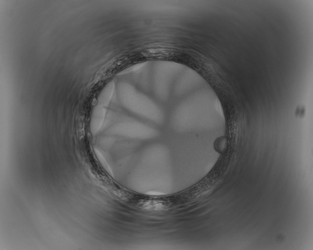 X0000114700751200911121540