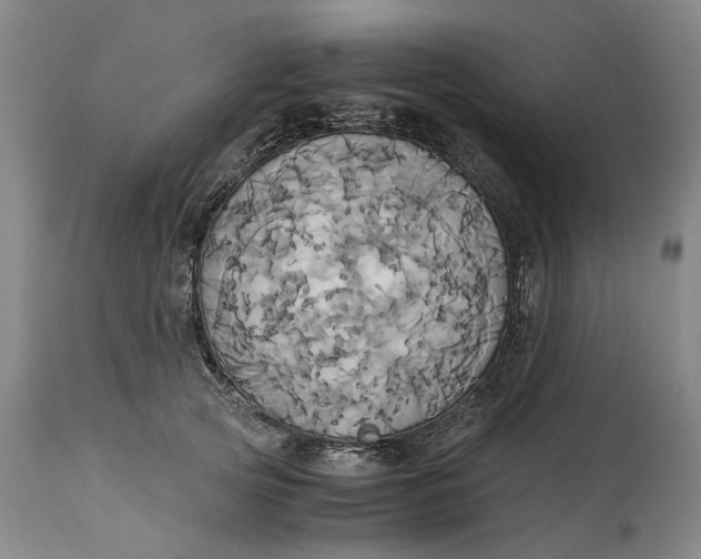 X0000114700753200911121540