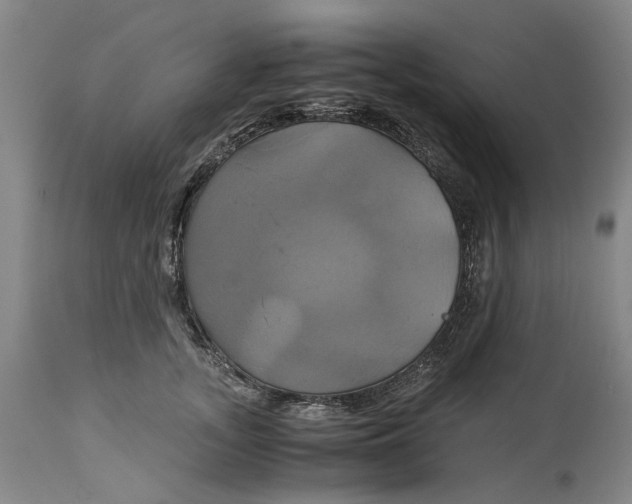 X0000114700755200911121540