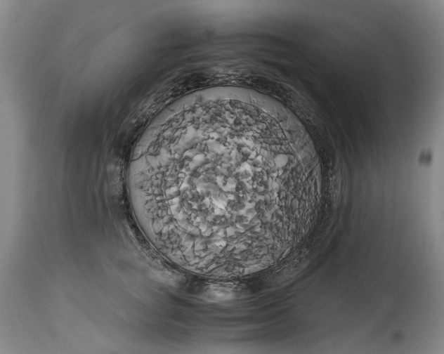 X0000114700757200911121540